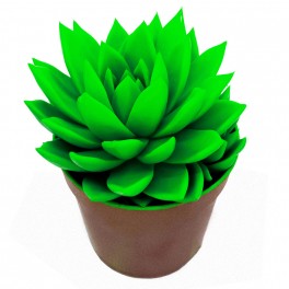Echeveria puntes verdes (test 12 cm ø)