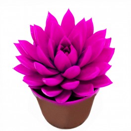 Echeveria puntas rosas (maceta 12 cm ø)