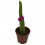 Cactus y crasa flor variado (maceta 5,5 cm ø)