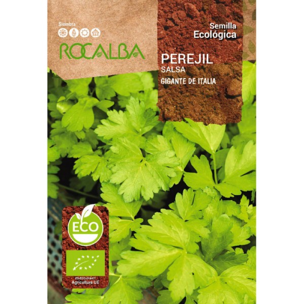 Graines de Persil G&eacute;ant Italien (biologique).