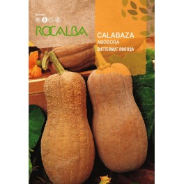 Semente de abóbora butternut rugosa