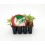 Planter bleda ecològica (12 unitats)
