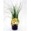 Planter ceba babosa natural (12 unitats)