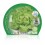 Planta ecológica de alface trocadero (12 unidades)
