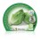 Plante coração de alface orgânico (12 unidades)