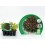 Planta ecológica de alface folha de carvalho (12 unidades)