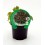 Planta ecológica de alface folha de carvalho (12 unidades)