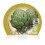 Planter de carxofa Victoria (4 unitats)