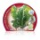 Planter bleda groga de Lyon natural (12 unitats)