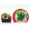 Planter bleda groga de Lyon natural (12 unitats)