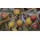 Olivera arbequina AS-1 (Agromillora)