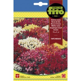 Semilla Antirrino enano variado - Tapiz mágico