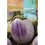 Semente de beringela rotonda bianca sfumata di rosa