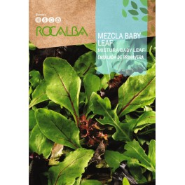 Llavor enciam barreja baby leaf (amanida de primavera)