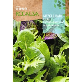 Semente de alface mistura baby leaf (salada asiatica)