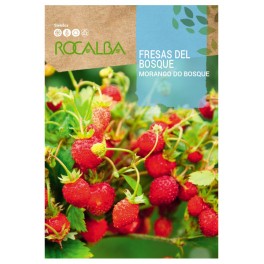 Semilla fresas del bosque
