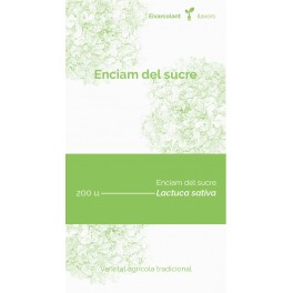 Semilla lechuga del azucar (tradicional catalán)