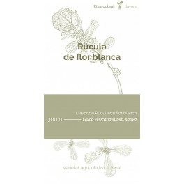 Semente de rúcula de flor branca (tradicional catalán)