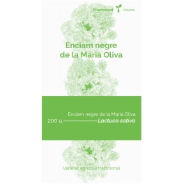 Semente de alface preto de la Maria Oliva (tradicional catalán)