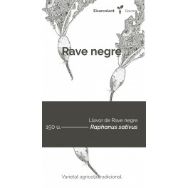 Llavor rave negre (tradicional català)