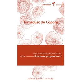 Semilla tomate de Copons (tradicional catalán)