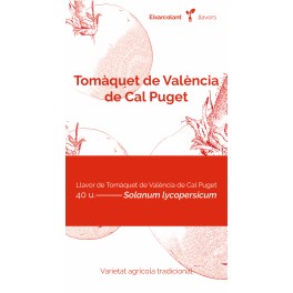 Graine de tomate valencien de cal Puget (tradicional catalán)