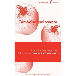 Llavor tomaquet Palosanto (tradicional català)