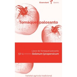 Semilla tomate Palosanto (tradicional catalán)