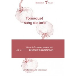 Llavor tomaquet sang de toro (tradicional català)