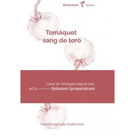 Semilla tomate sangre de toro (tradicional catalán)