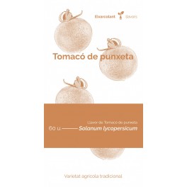 Semente de tomate tomacó de punxeta (tradicional catalán)