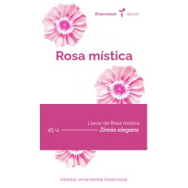 Semente de rosa mística (tradicional catalán)