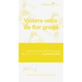 Semilla alheli de flor amarilla (tradicional catalán)