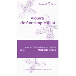 Semente de aleli de flor simple lilás (tradicional catalán)