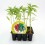Planter de pebrot italià 
