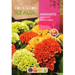 Llavor amarant cresta de gall variat