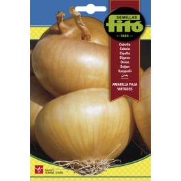 Semilla Cebolla Amarilla Paja Virtudes