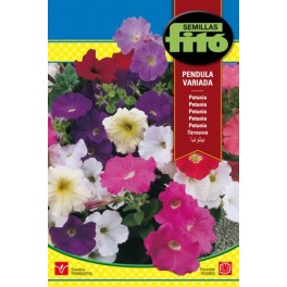 Semilla Petunia Péndula variada