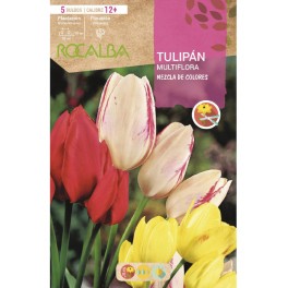 Bulb de tulipa multiflora a granel