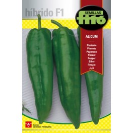 Semilla pimiento Alicum F1 (híbrida) (tipo italiano)