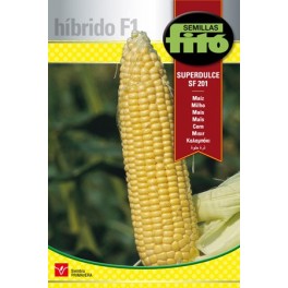Semente de milho super doce SF 201 F1 (híbrido)