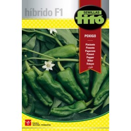 Semilla pimiento Poxigo F1 (híbrida) (tipo padrón)