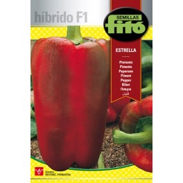 Semente de pimento estrela F1 (híbrido)