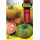 Semente de tomate Merlin F1 (híbrido)