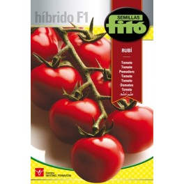 Semente de tomate Rubi F1 (híbrido)