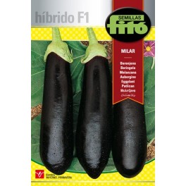 Graine d'Aubergine Larne F1 (hybride).
