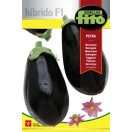 Graine d'Aubergine Petra F1 (hybride).