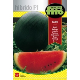 Semente de melancia Sanin F1 (híbrida)