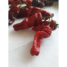 Semente de tomate Pêra Delta