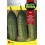 Graine de Cornichon Conil (hybride).